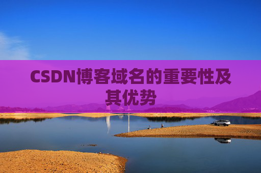 CSDN博客域名的重要性及其优势